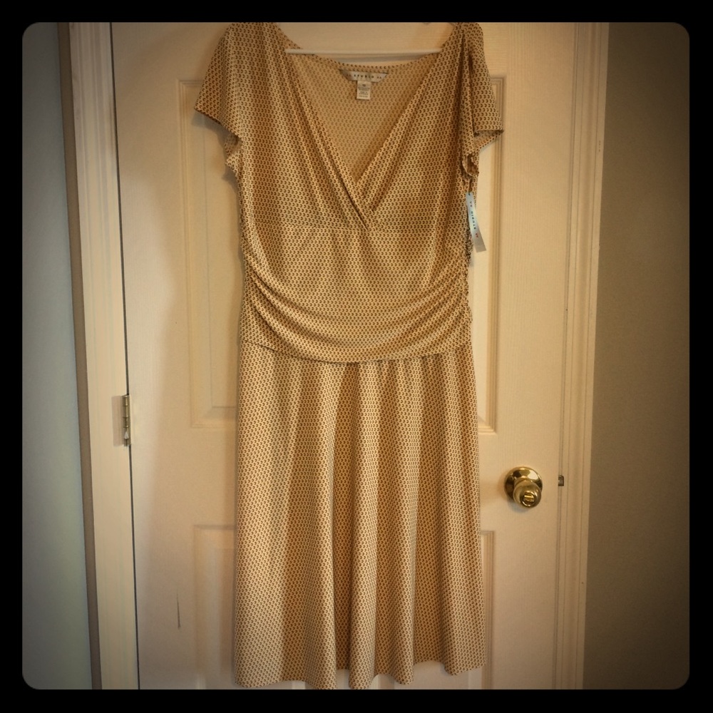 NWT! AA Studio Cream Short Sleeve V Neck Dress